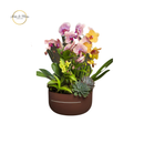 Arranjo de Orquídeas