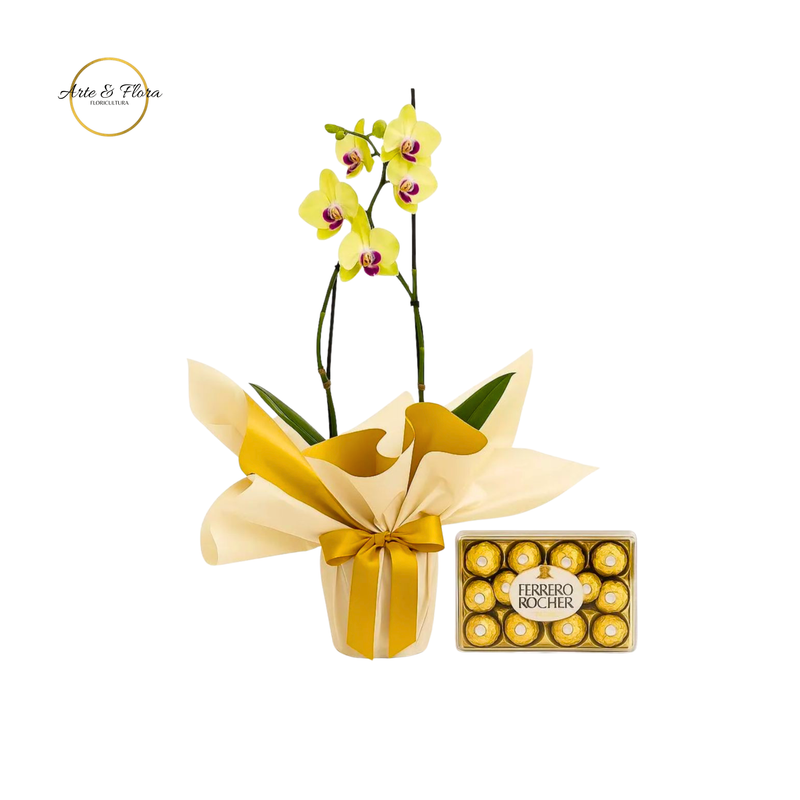 Orquídea Amarela com Ferrero